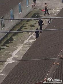 什邡市工地视频爆料,安全隐患引人关注  第3张