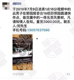 网友爆料类的视频,视频内容深度解析  第1张