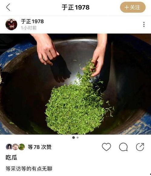 娱乐吃瓜蜀黍海苔咪,揭秘娱乐圈幕后故事  第3张
